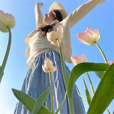 北风和太阳的法庭